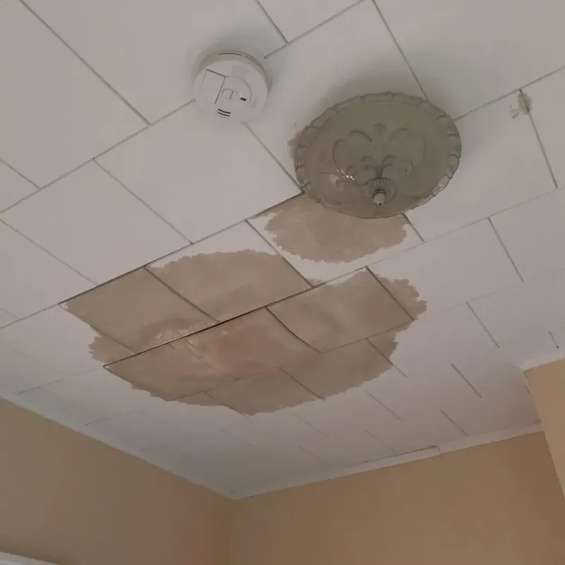 Ceiling Water Damage Repair in Lakeside, OR